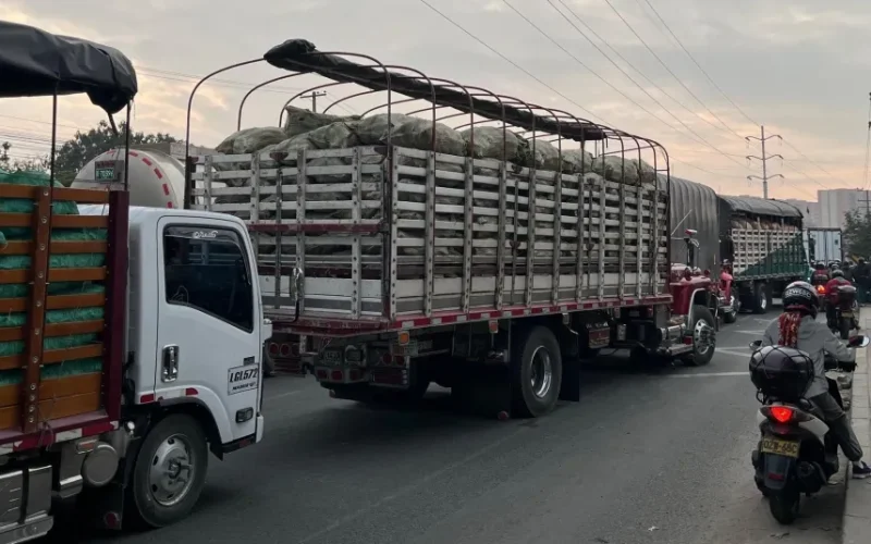 paro-de-arroceros-millonarias-perdidas-y-crisis-en-el-transporte-de-carga-en-colombia